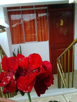 经典单人房, 1 张单人床, 庭院景观 | 熨斗/熨板、免费 WiFi、床单