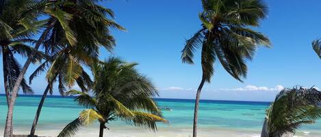 Suite de lujo, vista al mar | Playa | Playa privada en los alrededores, camastros, sombrillas y pesca