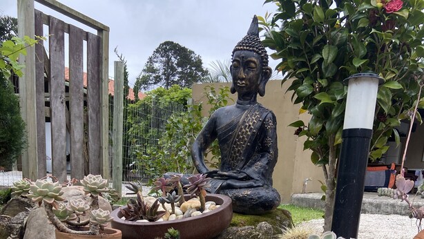 Een tuin met een Boeddhabeeld, diverse potplanten met vetplanten en een houten omheining.
