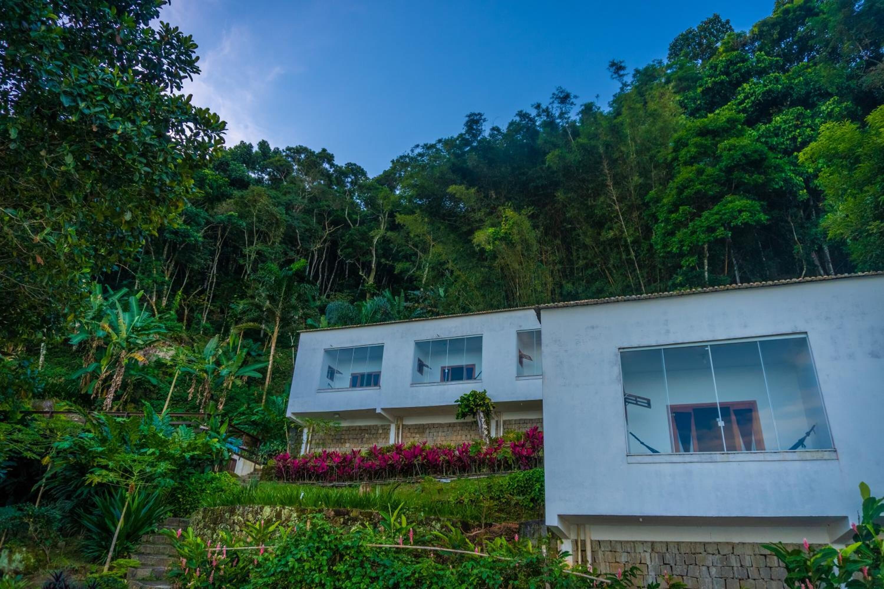 Um edifício moderno com grandes janelas, rodeado por vegetação exuberante e uma floresta densa.