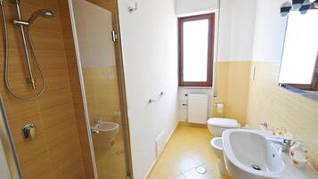 Shower, hair dryer, bidet, towels