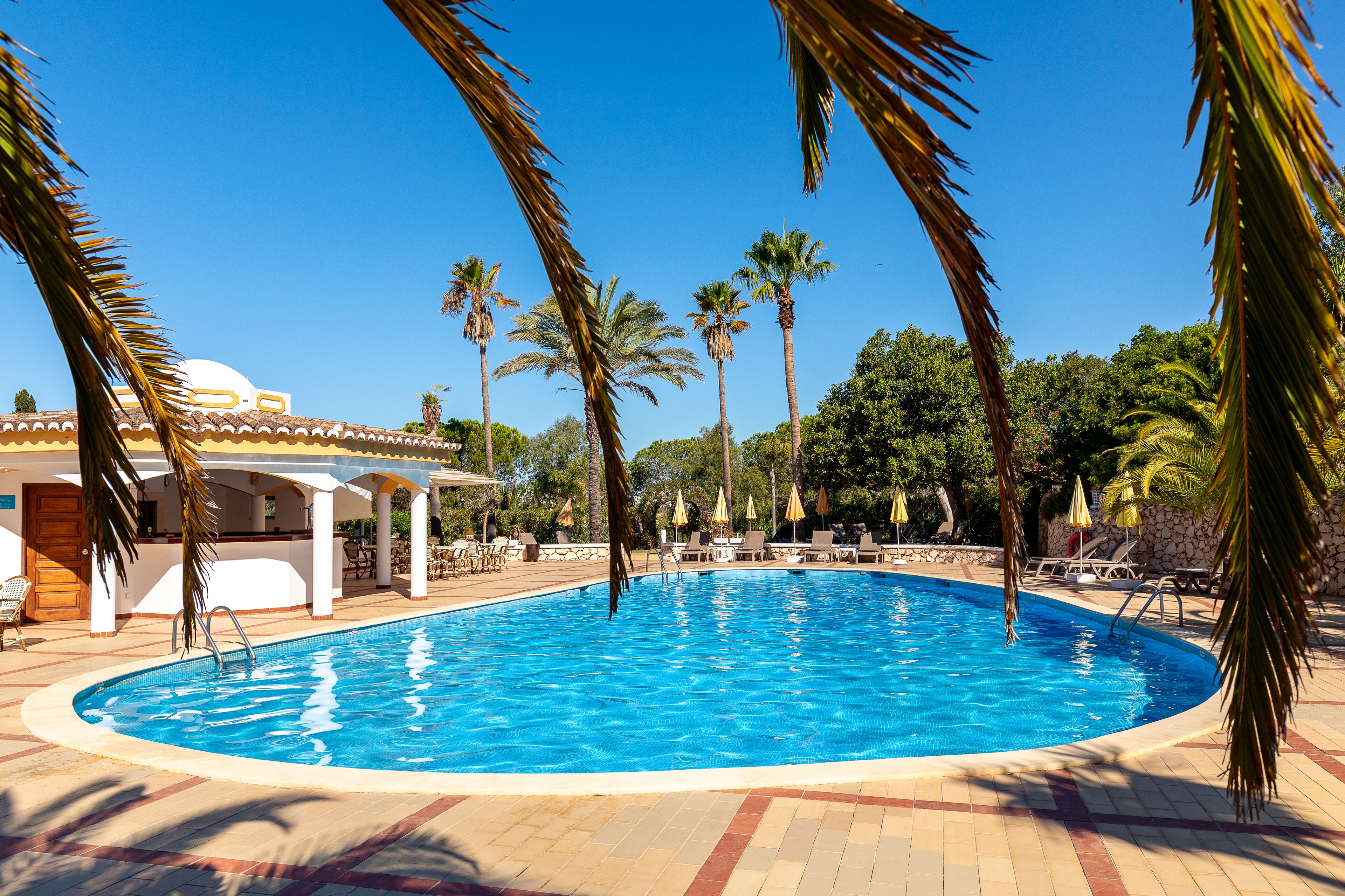 A swimming pool surrounded by palm trees and lounge chairs, with a building in the background.