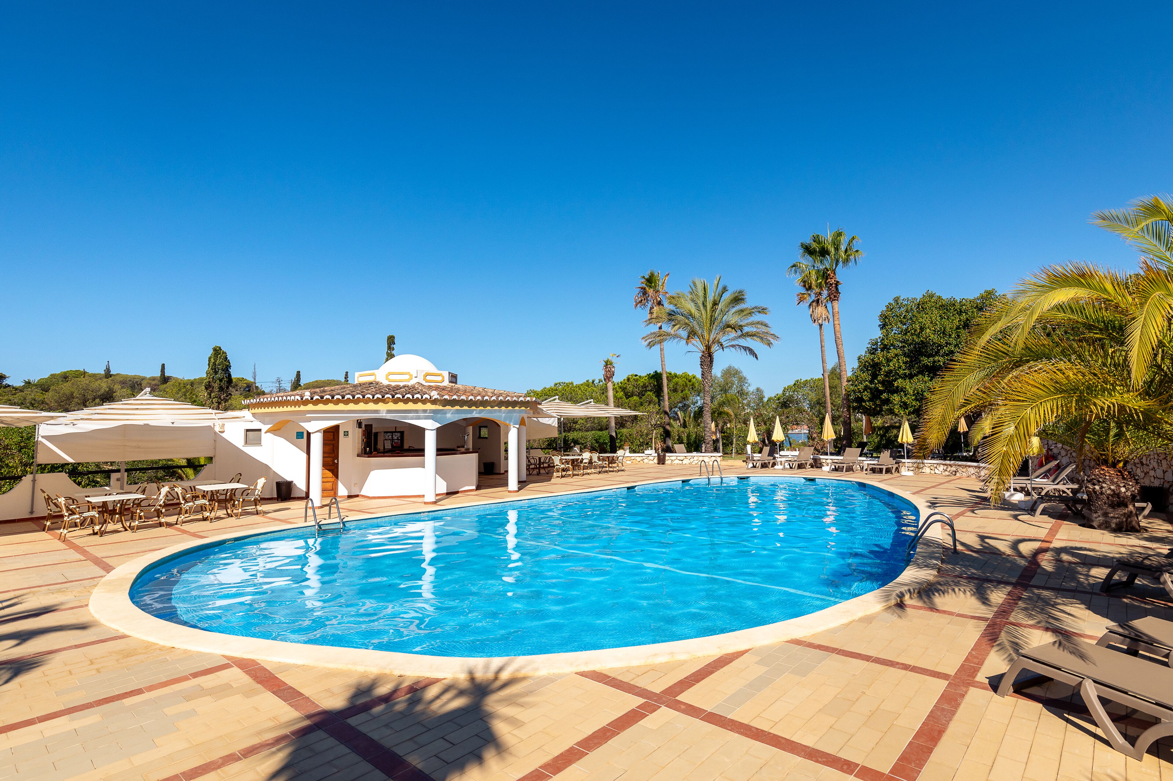 Piscina con sillas de descanso y sombrillas, rodeada de palmeras y un pabellón.