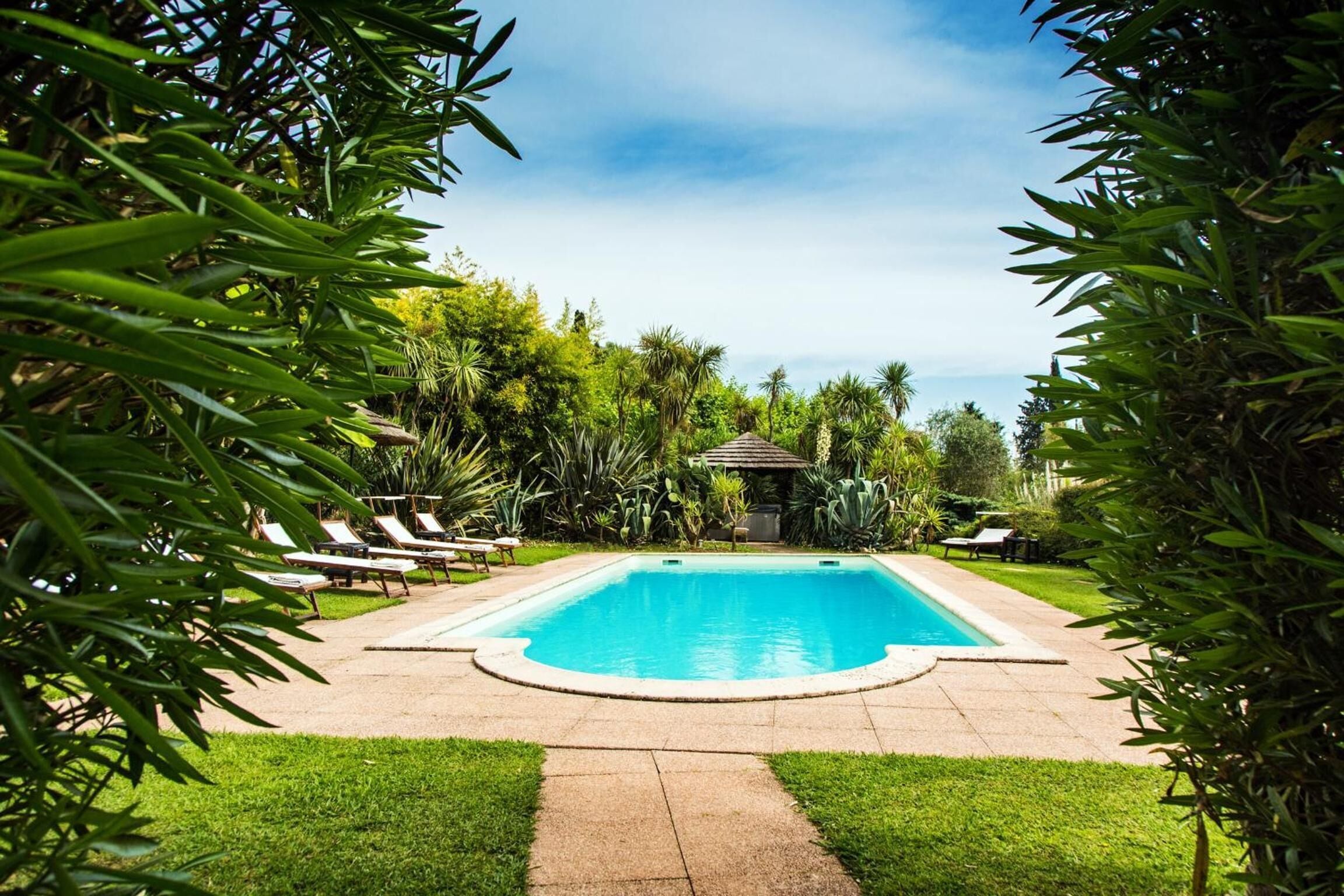 Outdoor pool, sun loungers