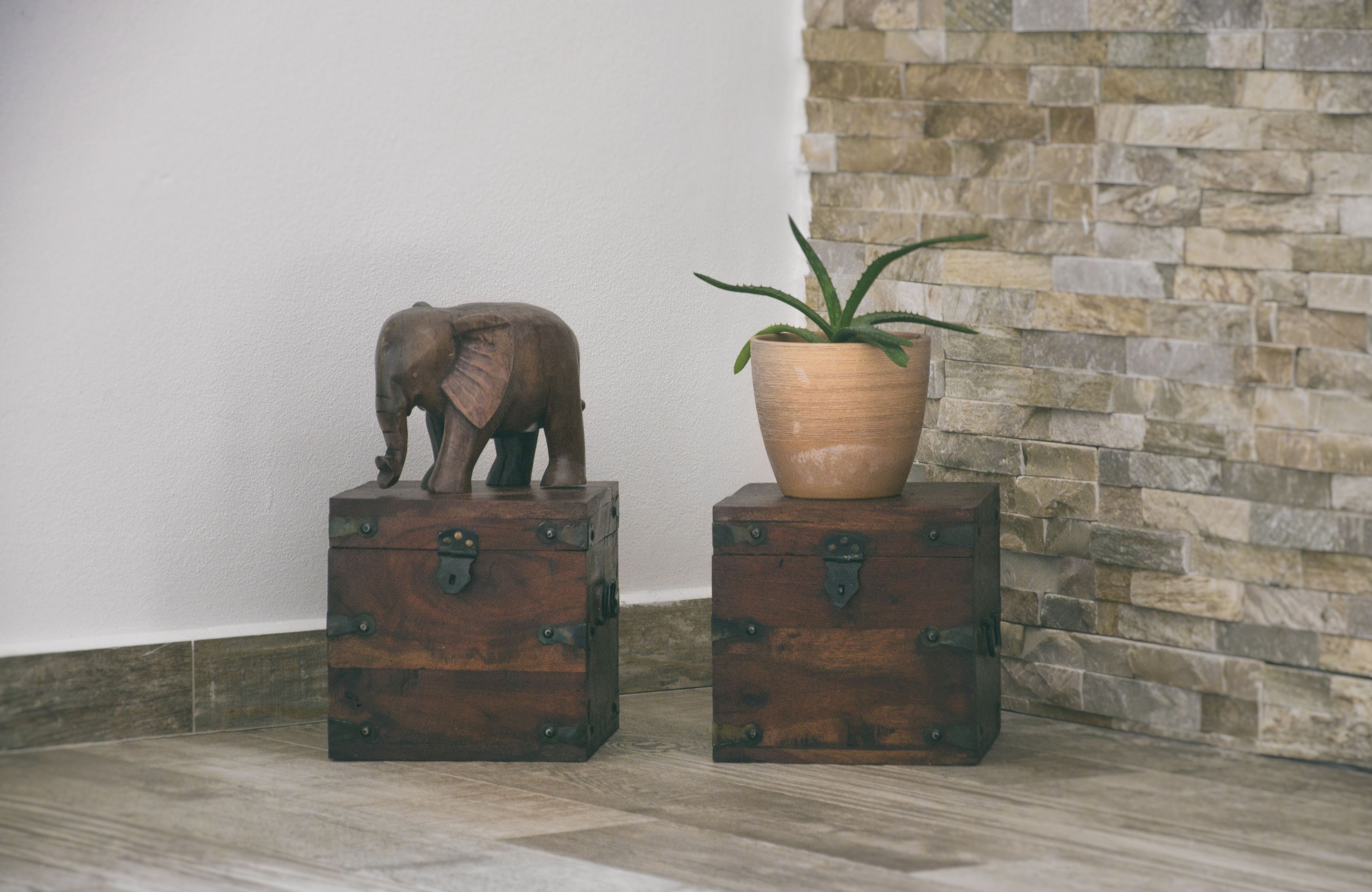 Dois baús de madeira com fechos de metal, um com uma pequena estatueta de elefante e outro com um vaso de planta.