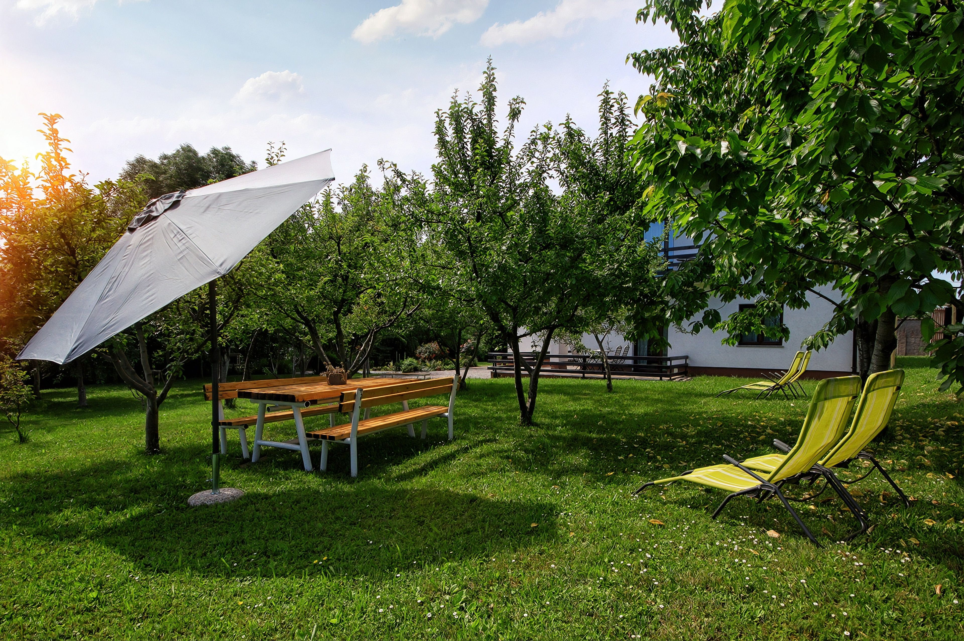A grassy outdoor area with a wooden bench, a yellow lawn chair, and a white umbrella.