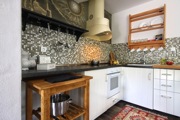 Appartement Confort, terrasse | Cuisine privée | Réfrigérateur, micro-ondes, four, plaque de cuisson