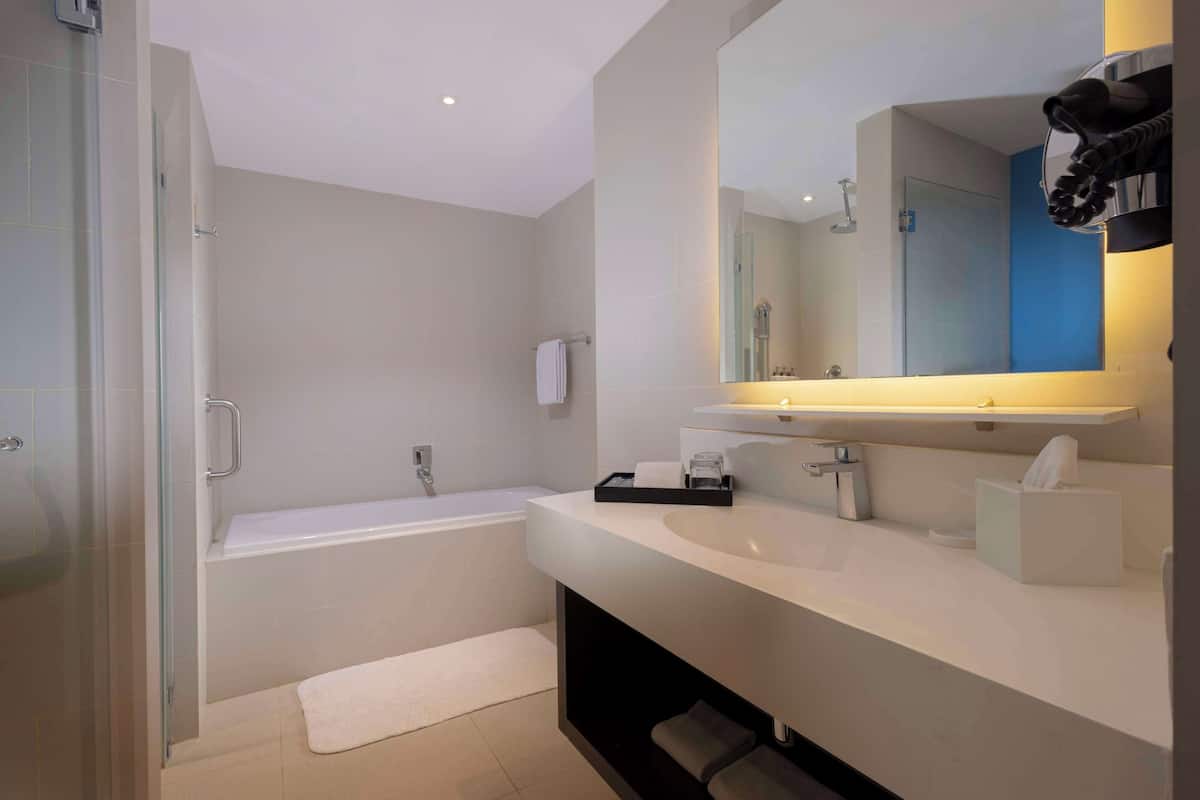 suite (room) | bathroom | free toiletries, hair dryer, slippers, bidet
