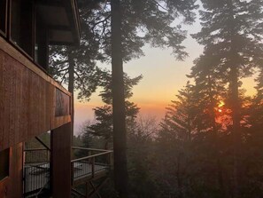 Design House | Private kitchen | Fridge, microwave, coffee/tea maker, electric kettle