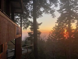 设计独立别墅 | 私人厨房 | 冰箱、微波炉、茶具/咖啡用具、电热水壶