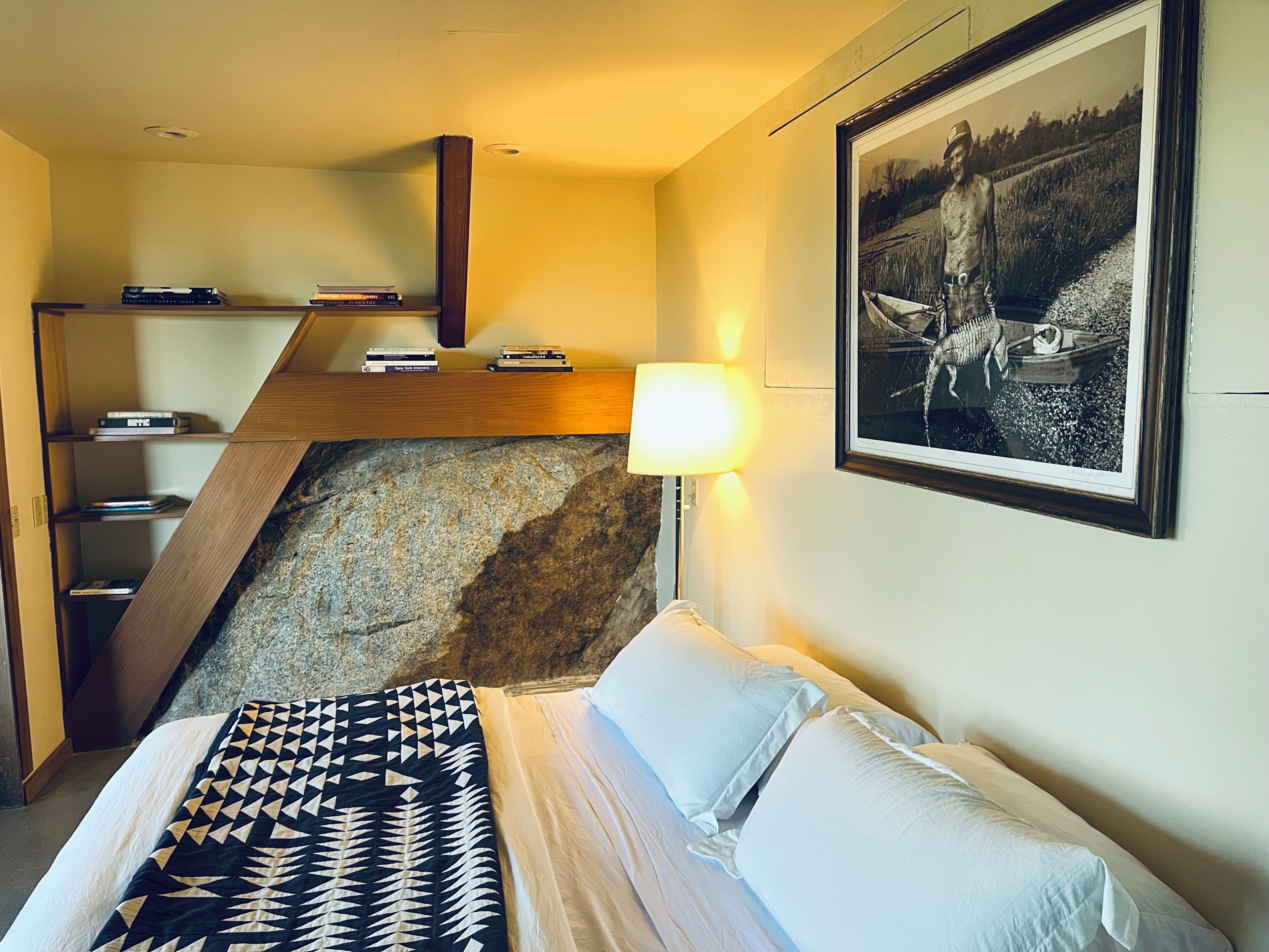 Une chambre à coucher avec un lit, une table de chevet, une lampe, un tableau encadré au mur et une étagère en bois avec des livres.