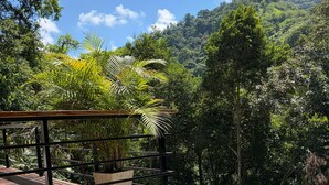 Ein Pool mit Holzterrasse und Metallgeländern, umgeben von üppiger Vegetation und einer Bergkulisse.