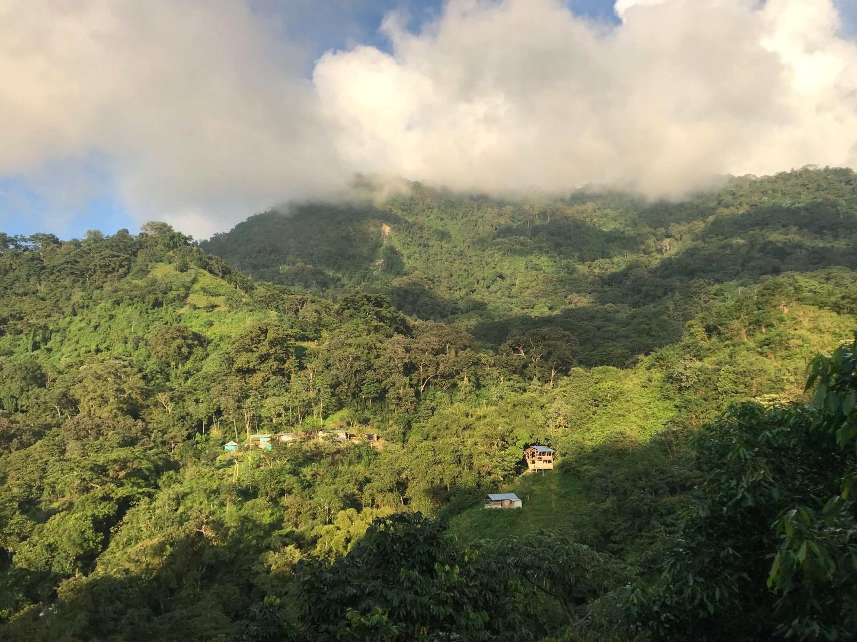 Foto - Montes De Beraka