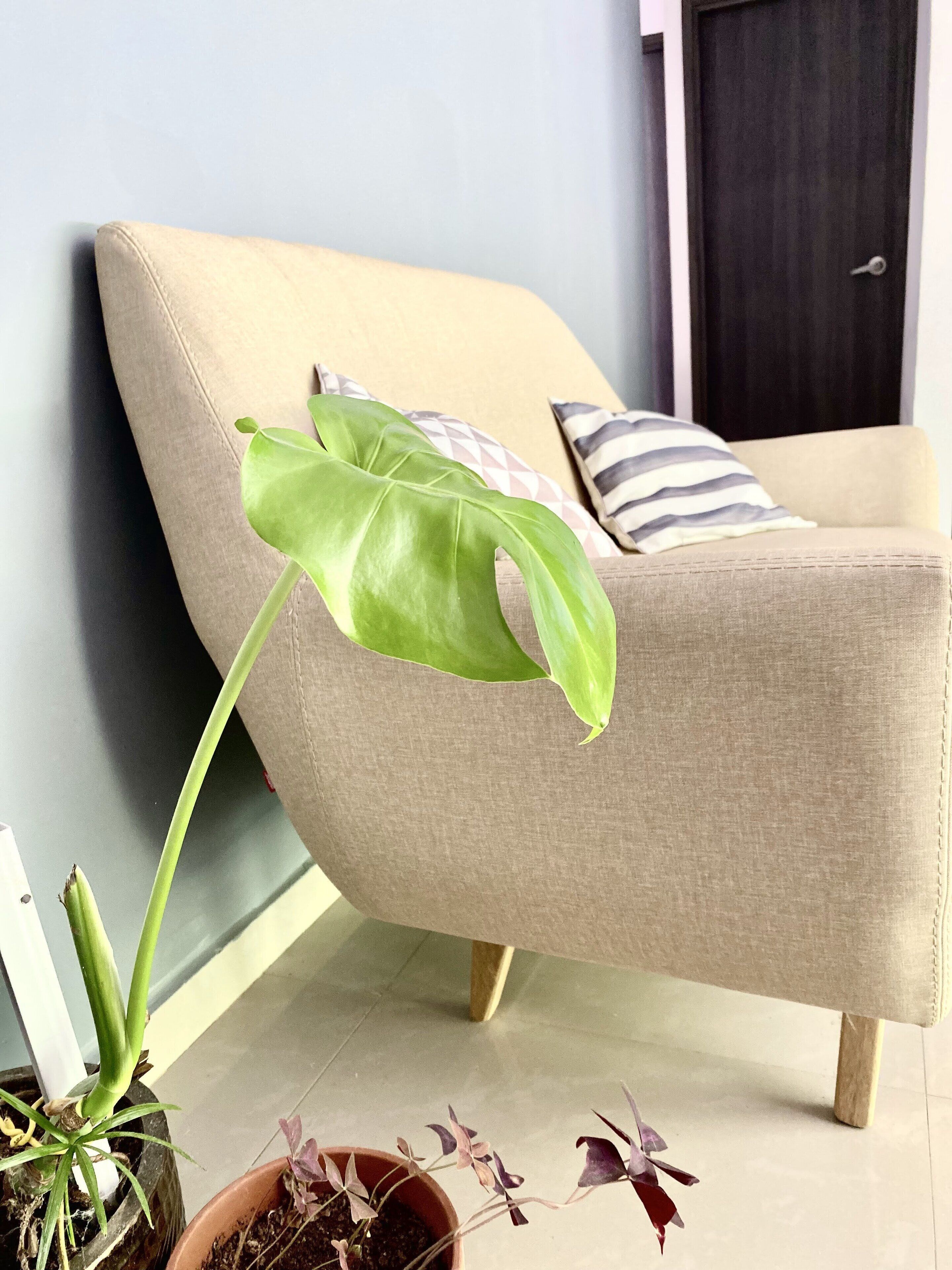 Foto - Montes De Beraka