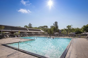 Una piscina al aire libre, una piscina climatizada, sombrillas, tumbonas