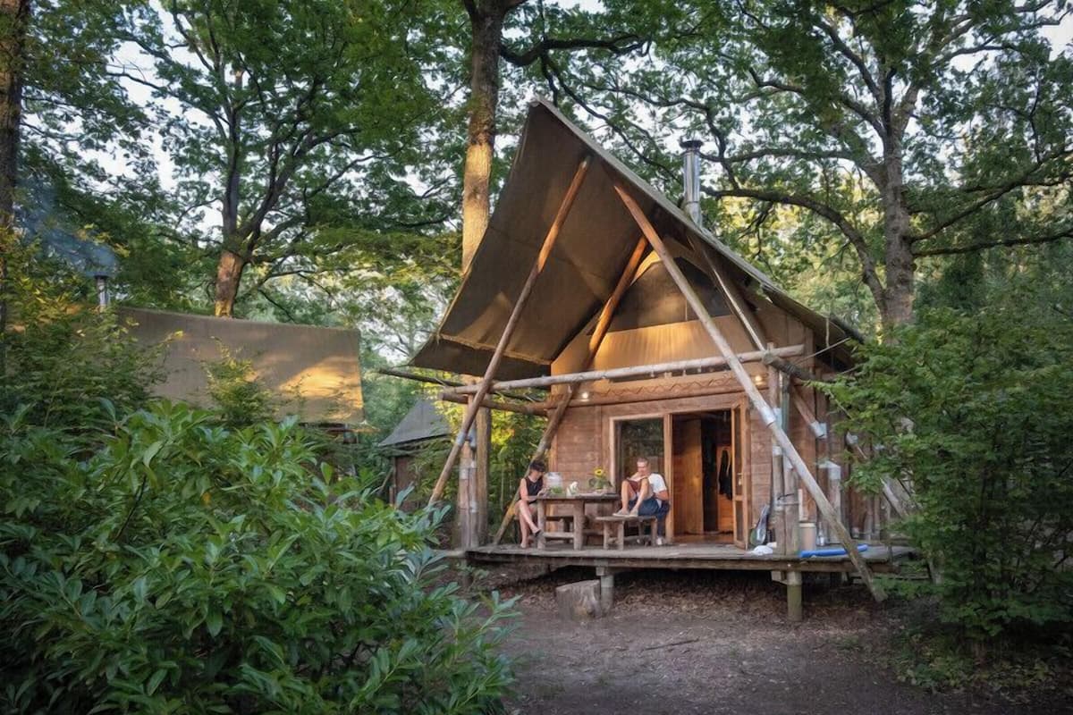 A rustic wooden cabin with a sloped roof, surrounded by dense greenery.