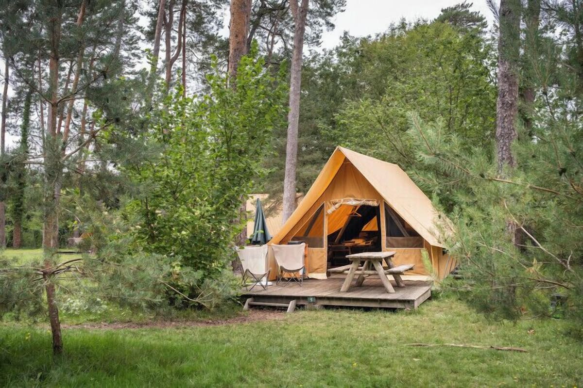 A tent with a picnic table and chairs in a forested area.