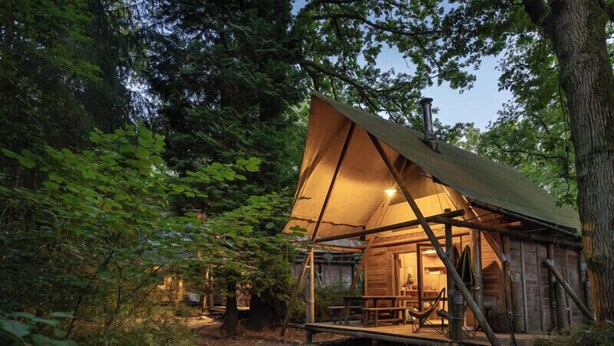 Una cabaña de madera rústica con un toldo grande de lona, rodeada por un bosque denso.