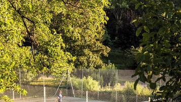 A tennis court surrounded by trees.