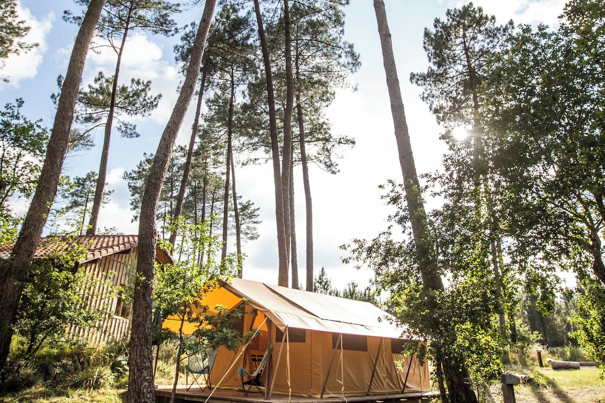 A tented accommodation surrounded by tall trees with a clear sky.