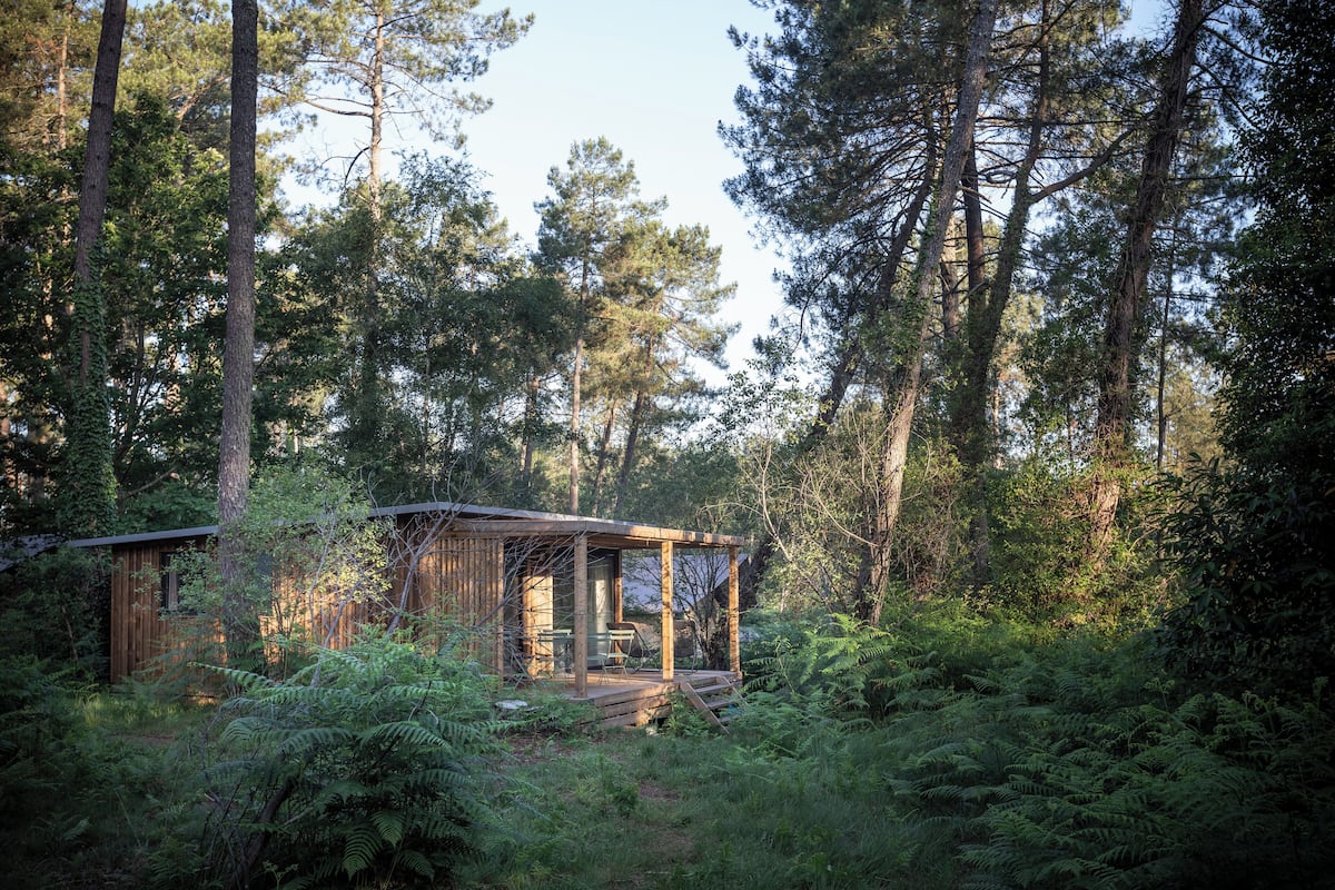 A rustic cabin surrounded by dense forest.
