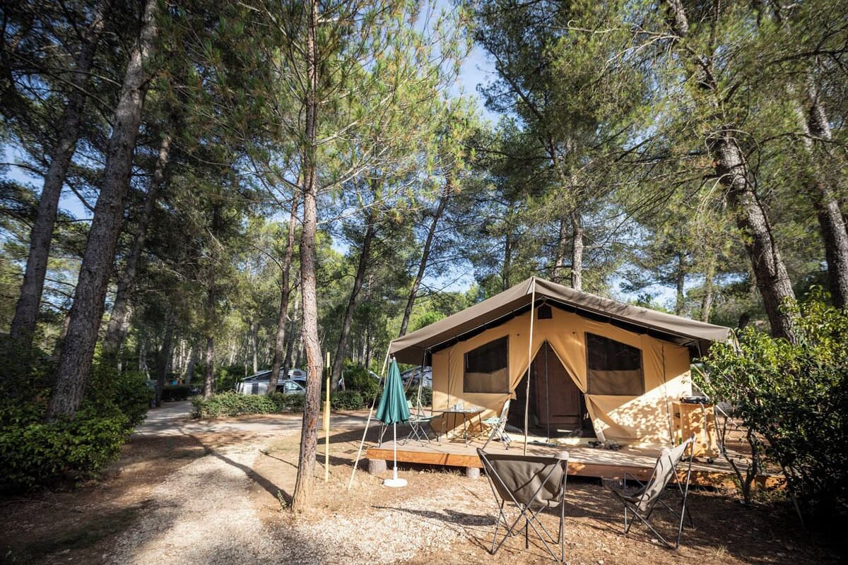Un terrain de camping avec une seule tente, entouré d’arbres et bordé d’un chemin de terre.