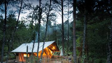 Individually decorated, individually furnished, bed sheets