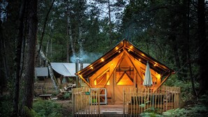 A cozy, well-lit wooden cabin surrounded by a dense forest. - Huttopia Lac de Rillé (Rillé)