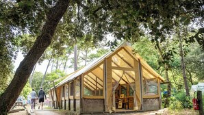 Eine Holzhütte mit Satteldach, umgeben von Bäumen.