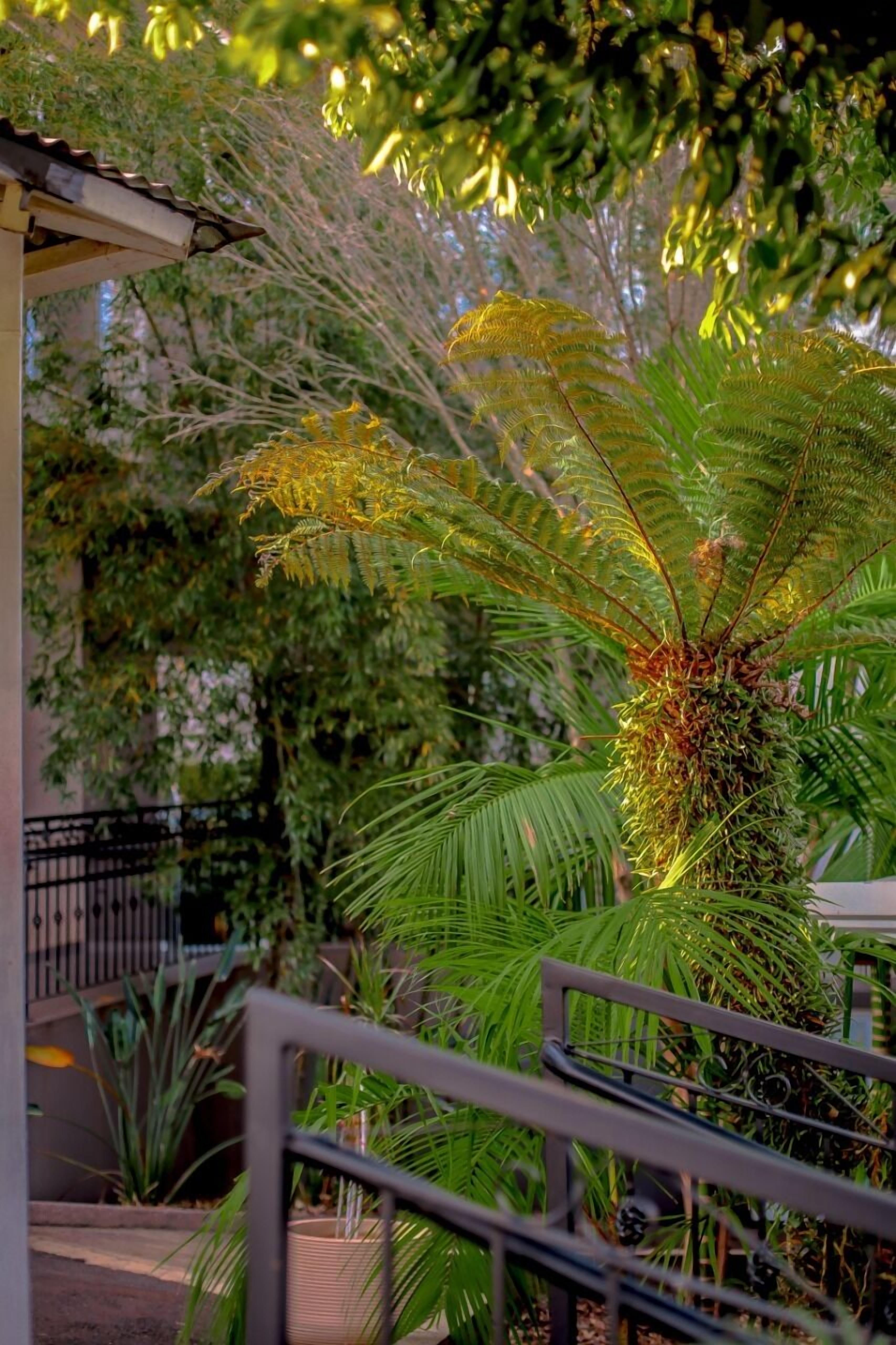 A staircase with a metal railing, surrounded by lush green plants and trees.