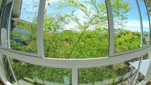 A panoramic view through a circular window, revealing a lush green landscape with trees and a clear sky. - Mirante Hotel (Itapejara d'Oeste)