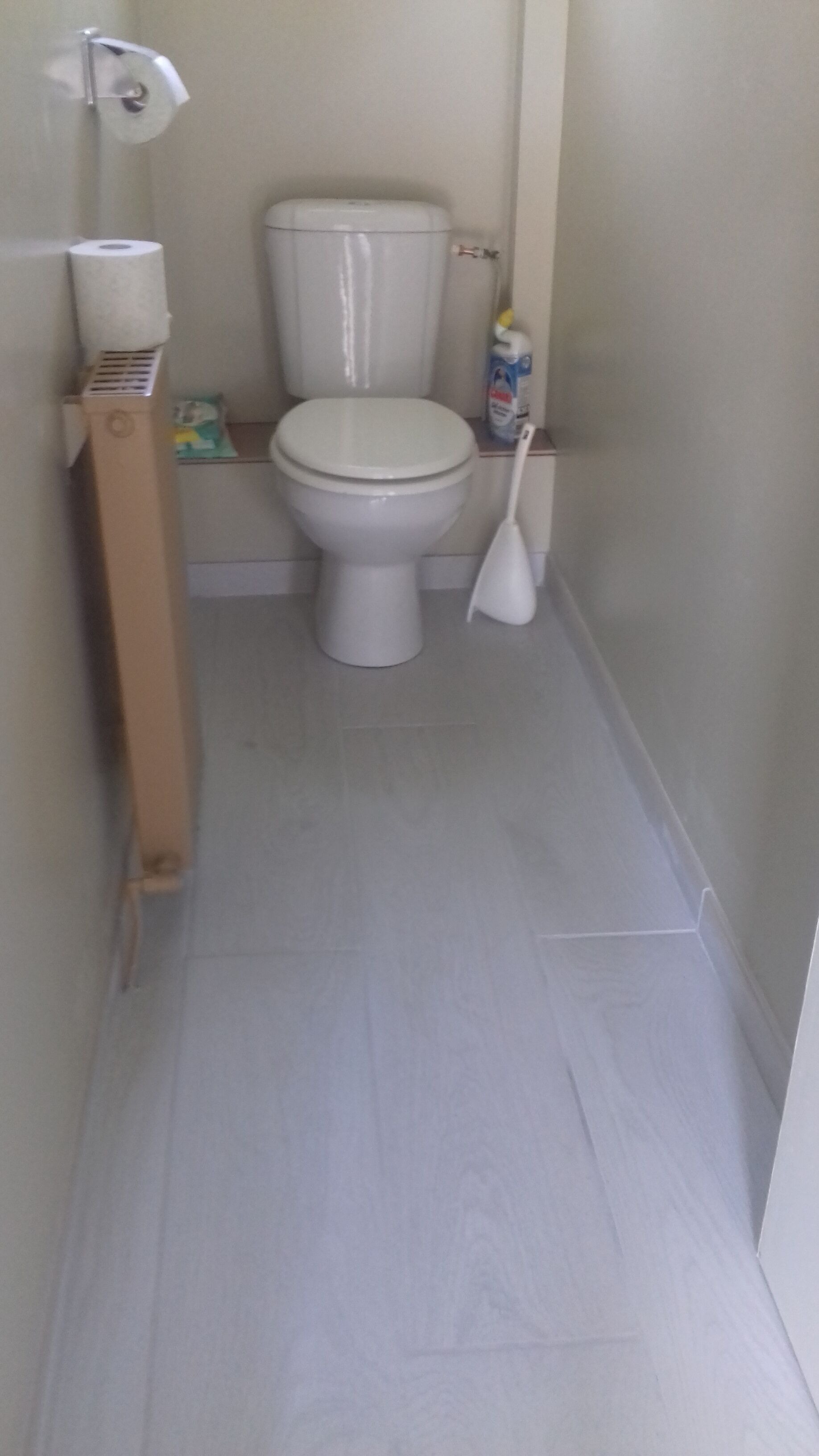 Een badkamer met een toilet, toiletrolhouder en een schoonmaakmiddel.