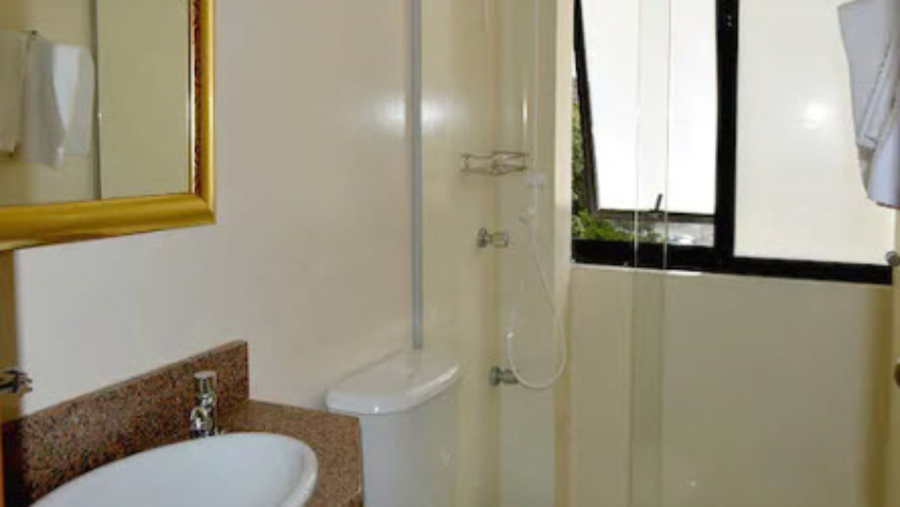 shampoo, toilet paper