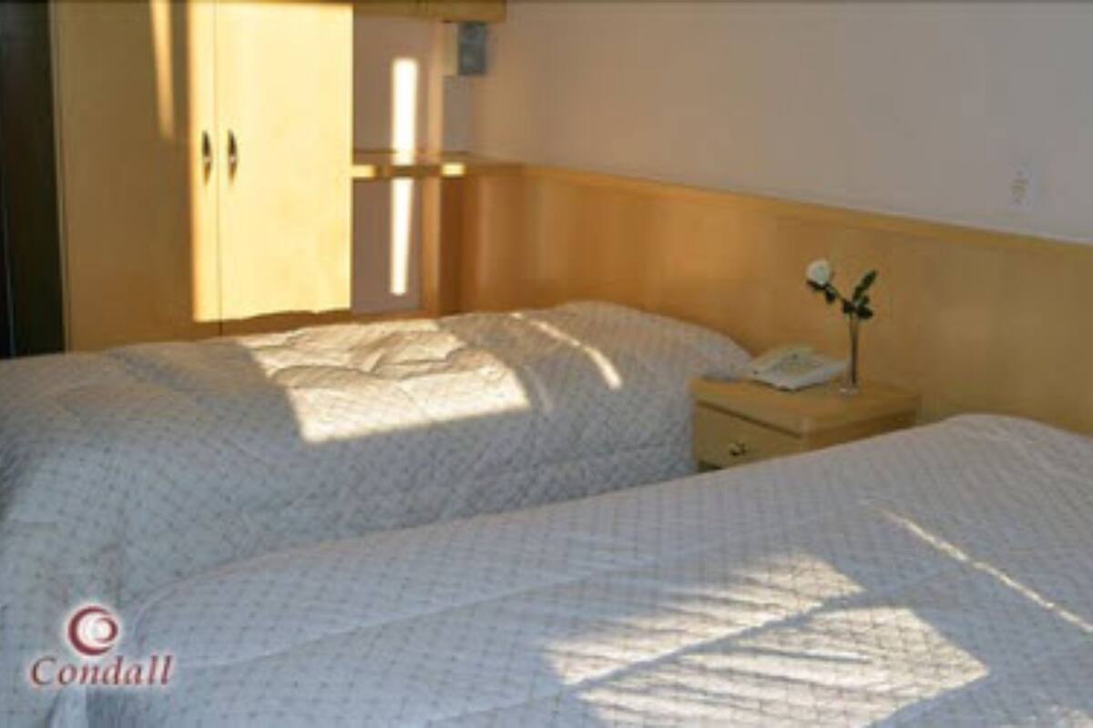 A bedroom with two beds, a nightstand with a lamp, and a window allowing natural light.