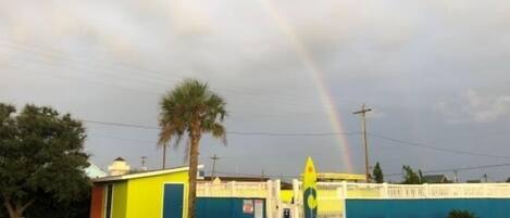 A building with a yellow and blue exterior, a palm tree, and a rainbow in the sky.