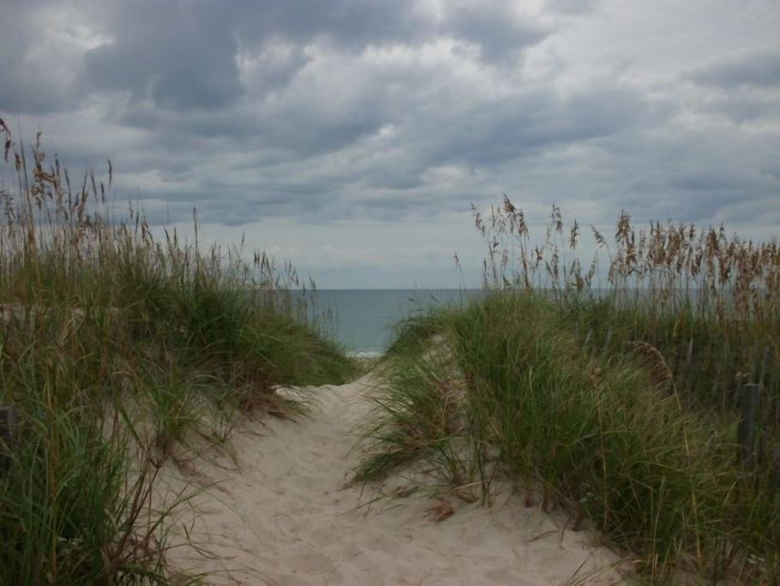 En sti af sand der fører ned til havet, omgivet af højt græs.