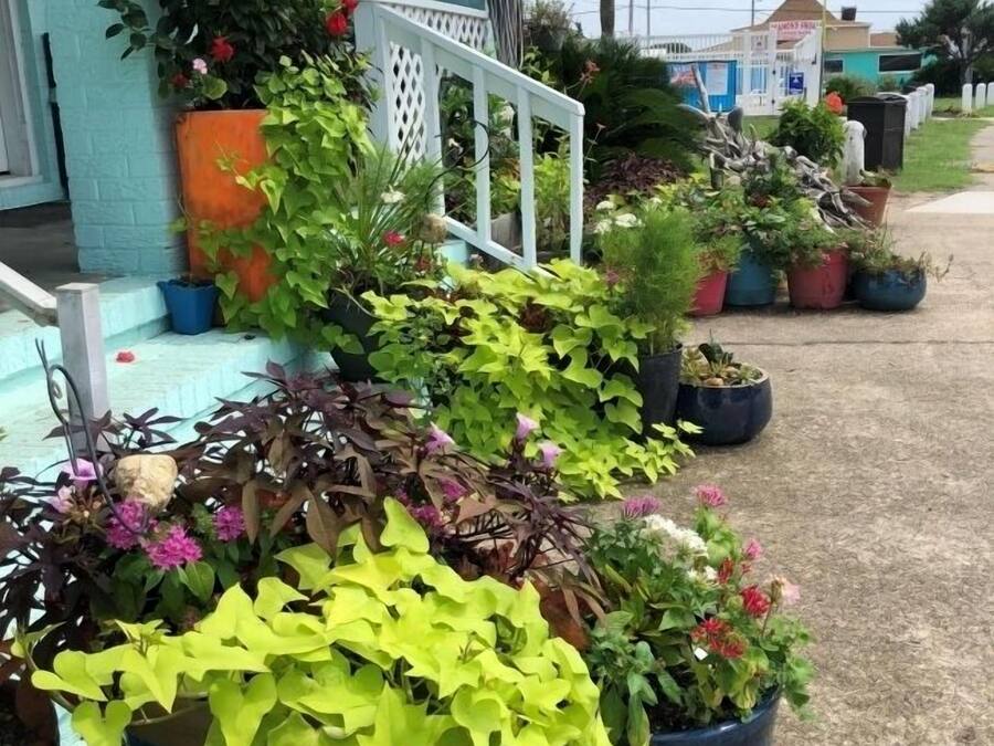 A porch with various potted plants and flowers.