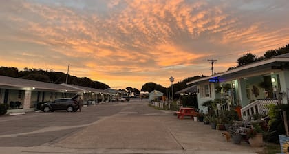 Swell Motel