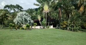 A lush garden with various tropical plants and a small pavilion. - Hotel Spa Excalibur (Villeta)
