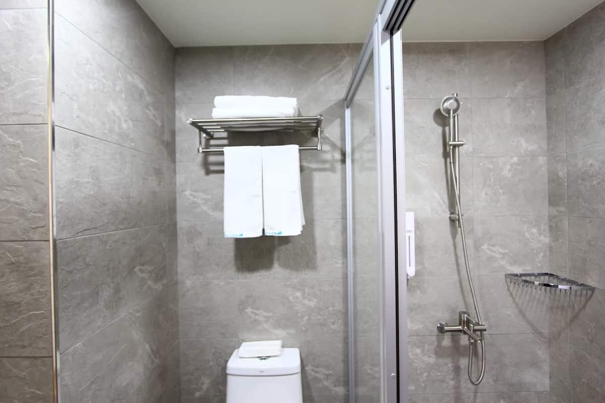 shower, free toiletries, hair dryer, slippers