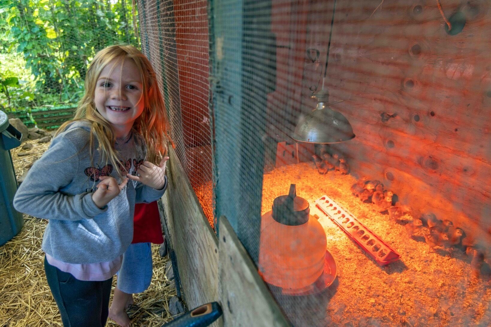 A person standing near a wire mesh enclosure with a heat lamp and a feeding tray.
