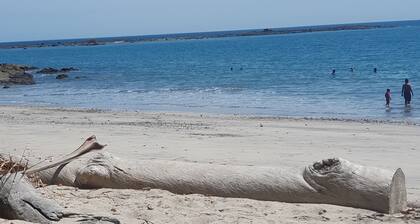 Welcome to House Beach and River