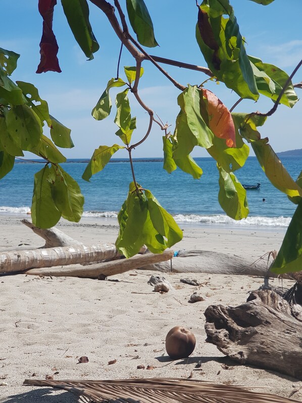 Beach nearby, white sand, beach shuttle, beach bar - Welcome to House Beach and River (Paquera)