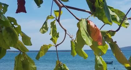 Welcome to House Beach and River