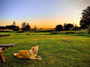 华丽客房, 1 张特大床, 花园景观 | 花园景观