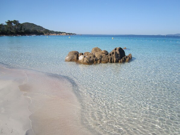 Vlak bij het strand