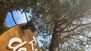 A wooden sign with the text "Recanto das Acacias Monte Verde M.G." mounted on a tree. - Recanto das Acacias (Camanducaia)