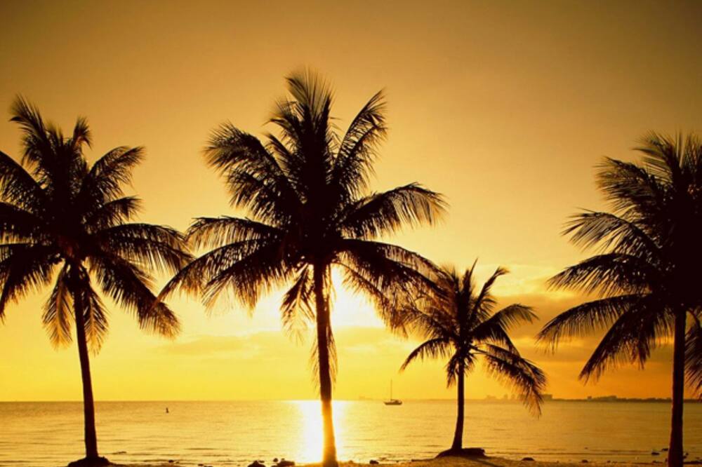 Key Biscayne Apartment