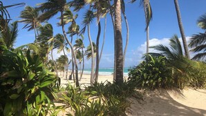 Ein Strand mit Palmen und freiem Blick auf den Ozean.