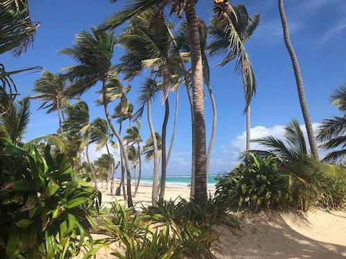 Art Villa Dominicana